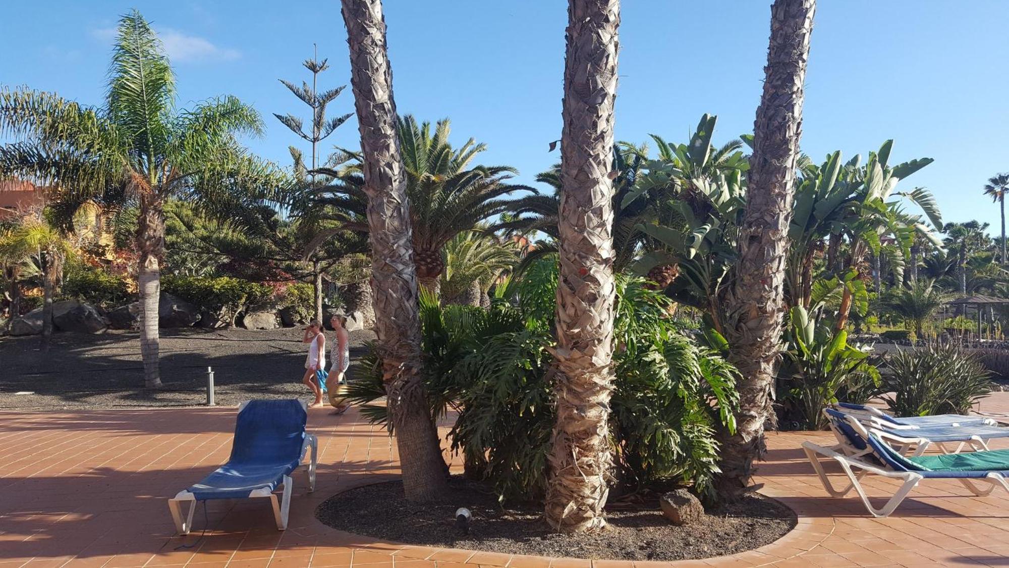 Apartment Oasis Royal 2 Piscinasfibra Optica Corralejo