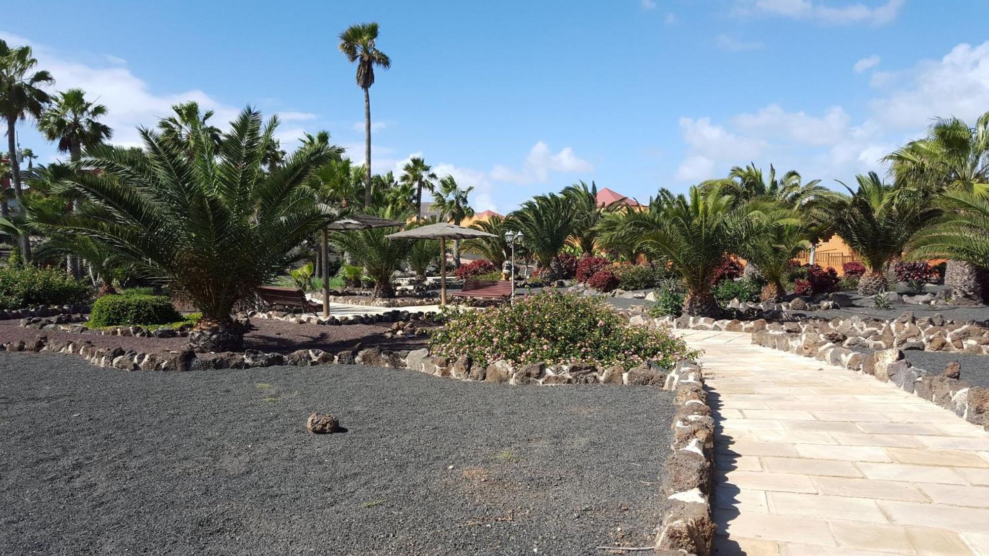 Oasis Royal 2 Piscinasfibra Optica Corralejo